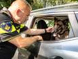 <br>Politie extra alert op puffende honden in snikhete auto's: ‘We accepteren geen excuses’