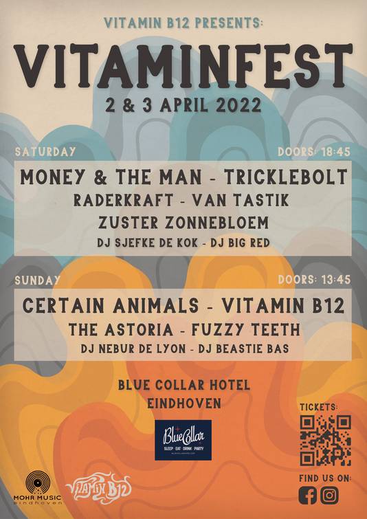 Vitaminfest, poster met bands