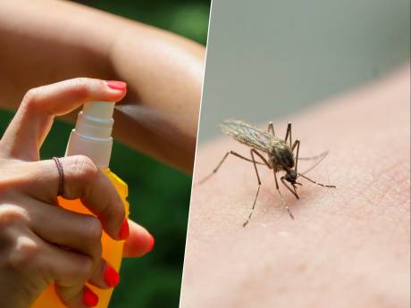 Ze zijn er weer, muggen! Stekker en citronella werken niet, maar dit ‘ouderwetse’ middel wel