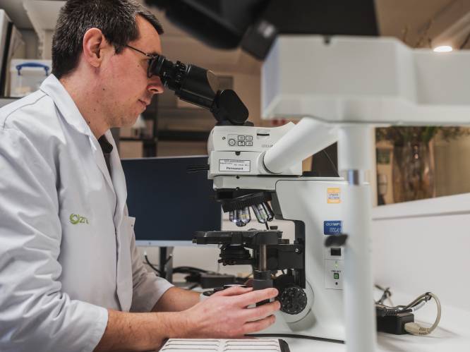 Nieuwe microscoop helpt onderzoek naar ziekte van Alzheimer