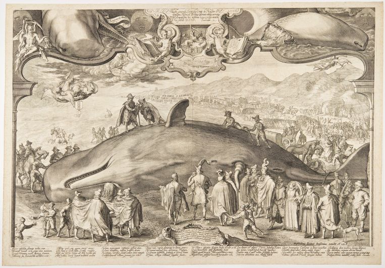 Jan Saenredam, ‘Gestrande potvis bij Beverwijk’, 1602, gravure. Beeld Huis Van Gijn (Atlas Van Gijn) Dordrecht