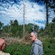 Kunnen exotische bomen onze bossen beschermen tegen droge, hete zomers, of net niet?
