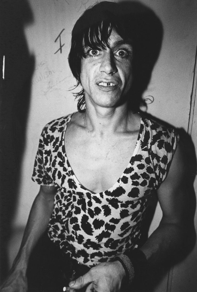 Iggy in 1980. Beeld Getty Images
