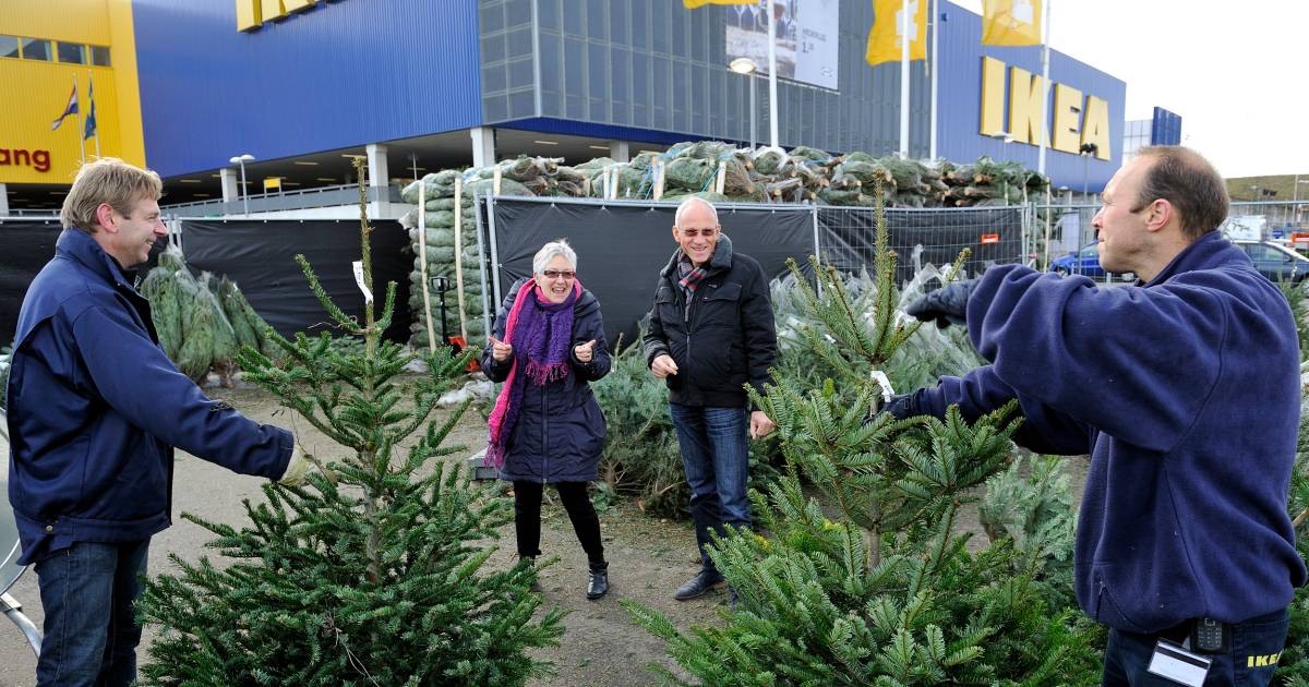 pizza Integreren Worden Winkels geven kerstbomen gratis mee aan klanten | Wonen | AD.nl