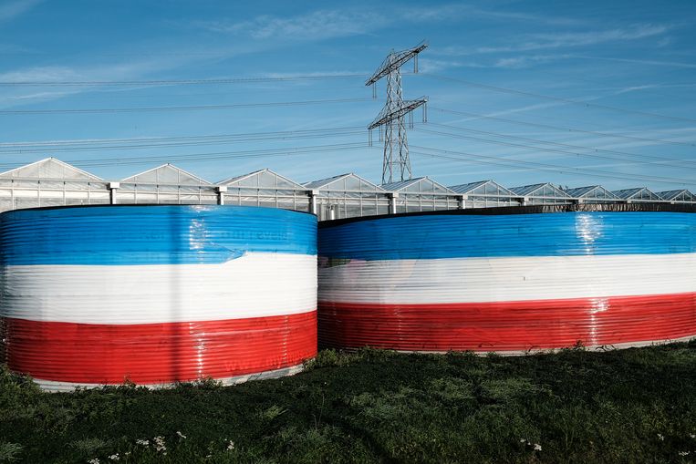 In de buurt van Naaldwijk. Beeld Daniel Rosenthal