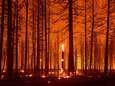 Branden in Californië laaien op door hitte, droogte en sterke wind