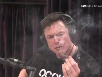 Tesla-baas Elon Musk: van goeroe naar ongeleid projectiel
