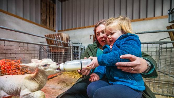 Genoeg van dat natte en koude weer? Met deze vier tips krijg je het lentegevoel