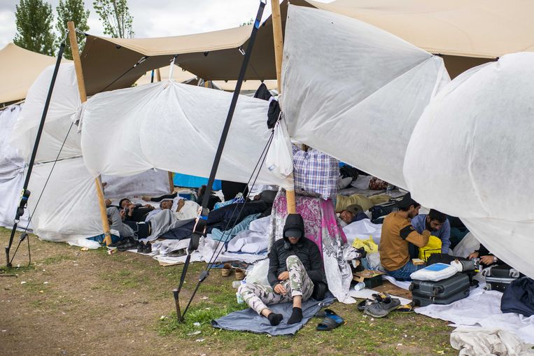 Inspectie: veiligheid kinderen zonder ouders Ter Apel ondermaats - Parool.nl