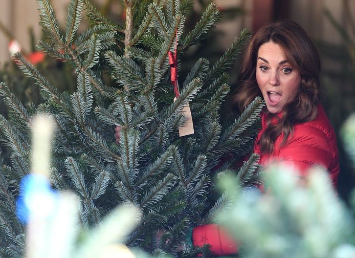 Kate tussen de kerstbomen