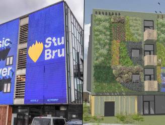Studio Brussel muurschildering ‘Music is our Answer’ wijkt voor kleurrijke verticale tuin vol mussen, gierzwaluwen en zelfs vleermuizen