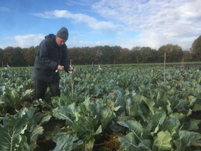 Edwin Nuijten neemt aanwezigen mee in de wereld van biologische plantenverdeling, waarbij zowel de ecologische als ethische principes van de biologische landbouw gewaarborgd worden.
