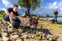 Mitchel van Eck ruimt plastic samen met hond Joy in Vianen rond Middelwaard. Alex van Eck werkt op de achtergrond met hond Bas.