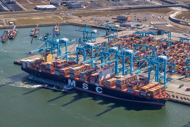 De MSC Rifaya was het eerste containerschip dat vastlag in het Suezkanaal dat in de haven van Rotterdam aankwam. Beeld Peter Bakker
