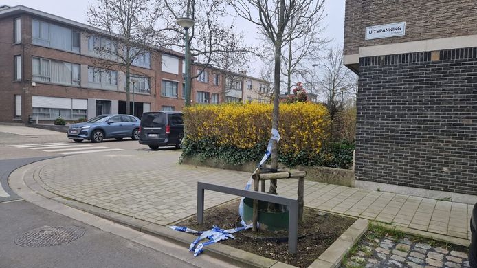 Het ongeval gebeurde op het kruispunt van de Oudestraat en Uitspanningstraat in Wilrijk.