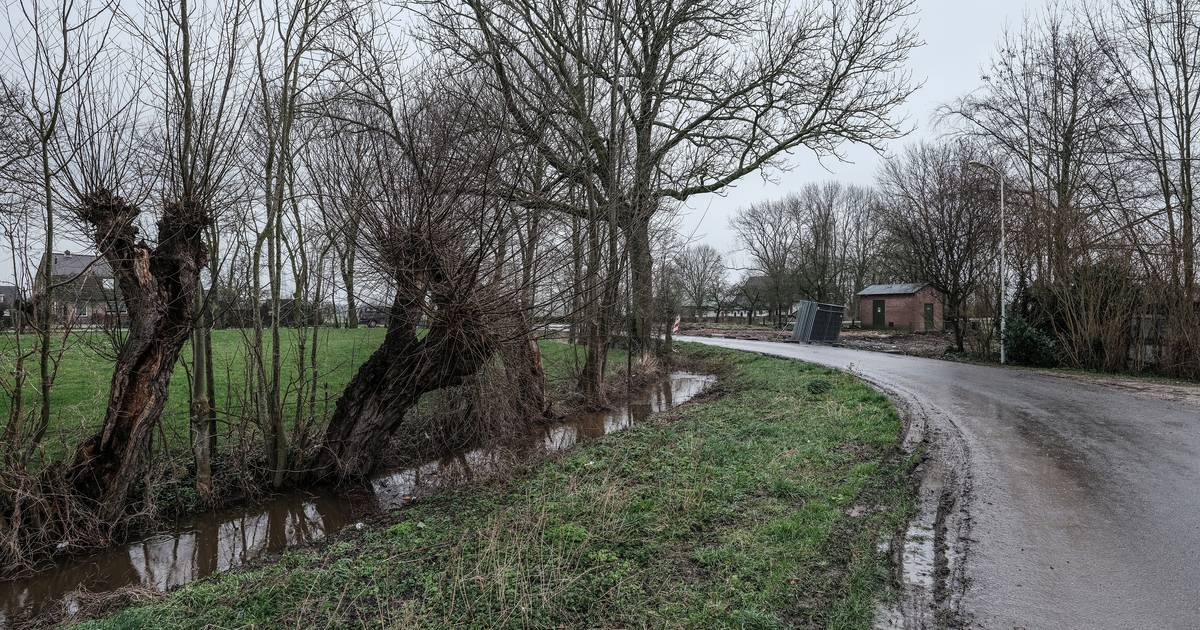 Ron krijgt klappen van overvaller nadat hij voordeur opent: 'MRI-scan zag er niet goed uit' - De Gel