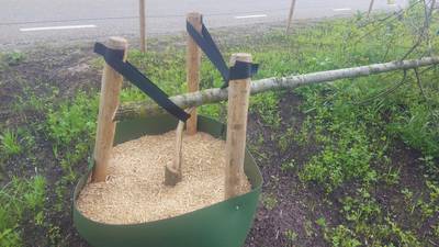 Onbekenden zagen met opzet gloednieuwe bomen om in Gameren