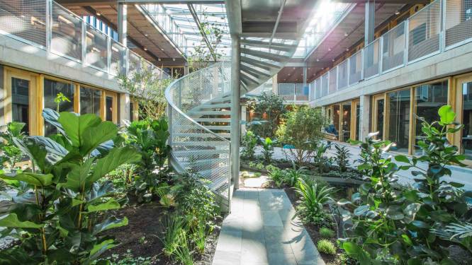Spectaculaire metamorfose in Enschede: groene oase in universiteitsgebouw met industriële uitstraling   