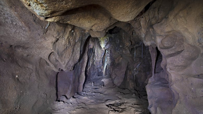 De nieuw ontdekte ruimte in de Vanguard-grot in Gibraltar.