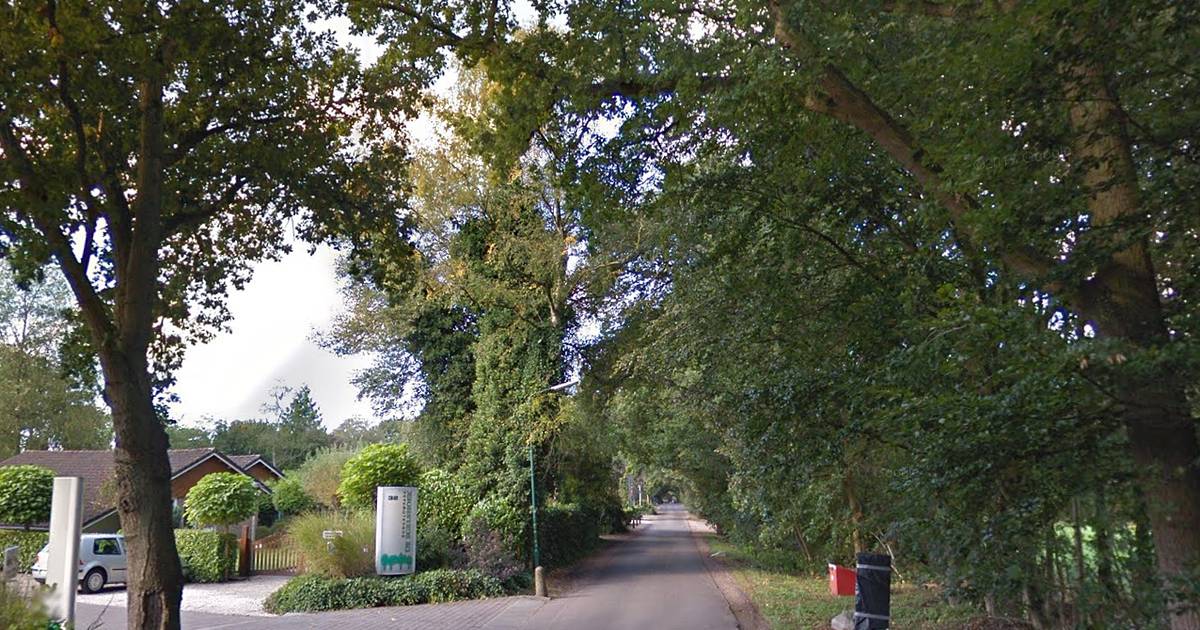Gewonde bij steekincident op camping in Hollandsche Rading; politie houdt verdachte aan