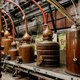 Op bezoek in de 160 jaar oude stokerij Elixir d’Anvers: ‘Alsof je bij je grootouders op bezoek gaat’