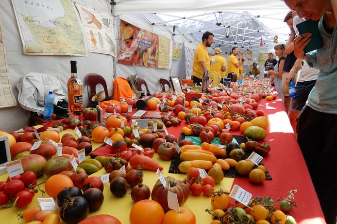 Meer dan  tomatenvariëteiten op Tomatenfestival | Brussel 