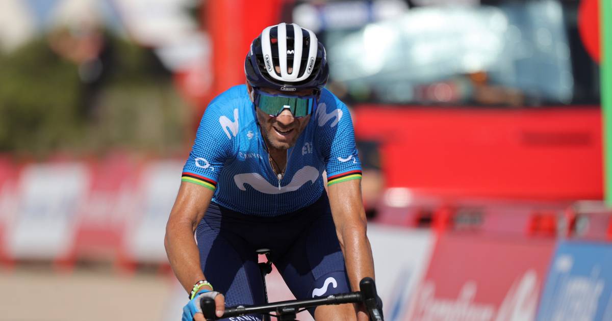 Spanish Drama Valverde 41 Attacks Falls Hard And Gets Out Of Vuelta Cycling Netherlands News Live