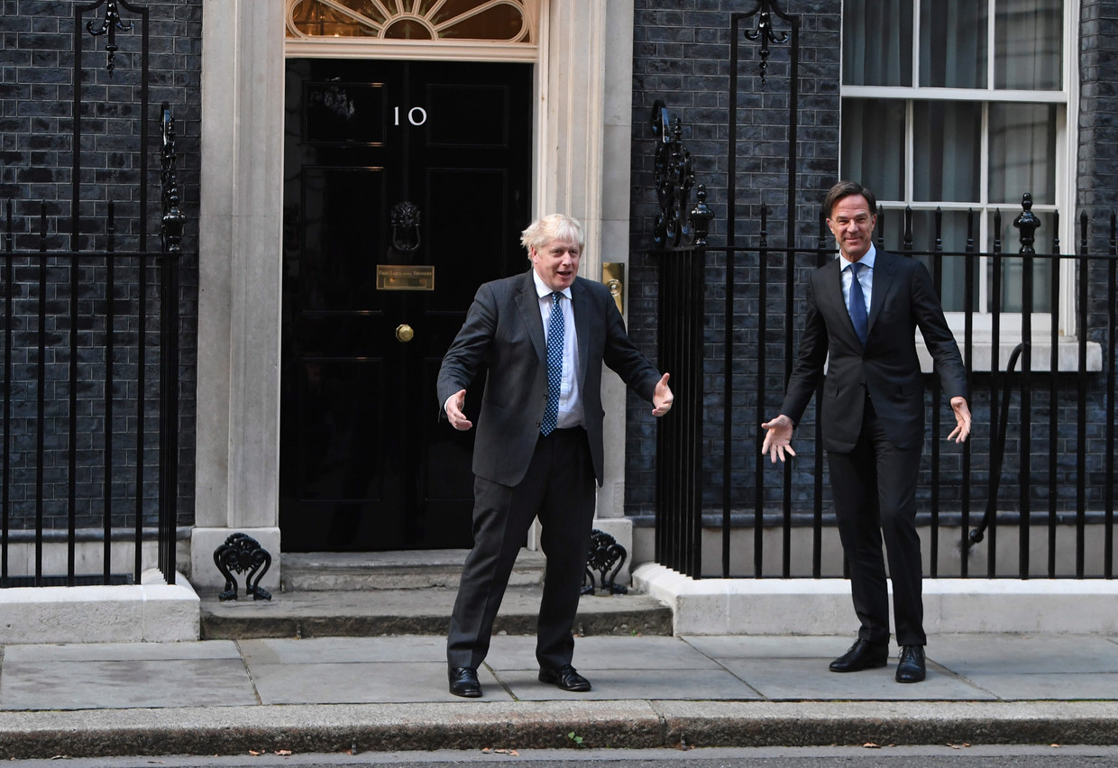 Rutte ora si è offerto di mediare la faida dell’UE sull’Irlanda, o ha semplicemente chiesto pragmatismo?