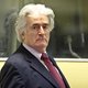 Karadzic ziet zich nog steeds als vredesduif