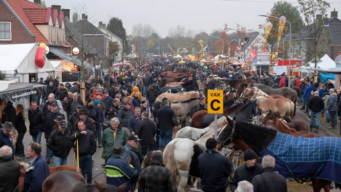 shuttle Moreel interval Hedelse paardenmarkt in volle gang | Maasdriel | bd.nl