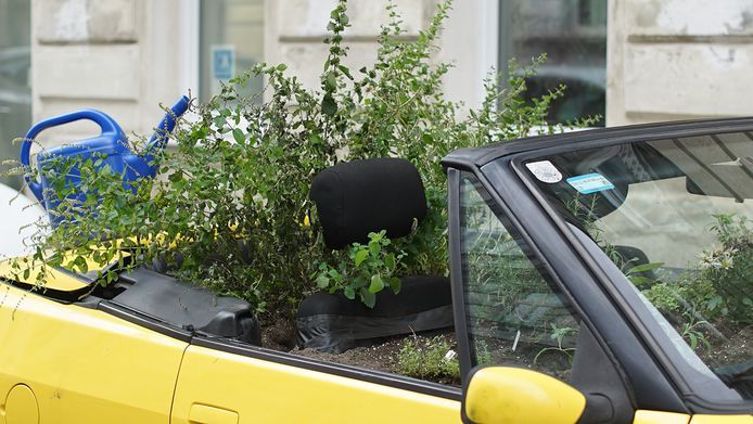 De overgroeide cabriolet in Wenen.