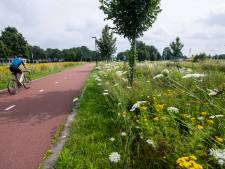 Een fietssnelweg van 150 kilometer van Zwolle naar Münster: ‘Kansen voor toerisme en recreatie’