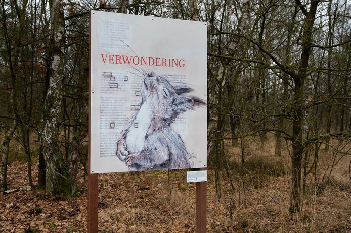 Eén van de geïllustreerde gedichten in Zonhoven tijdens de Poëzieweek.
