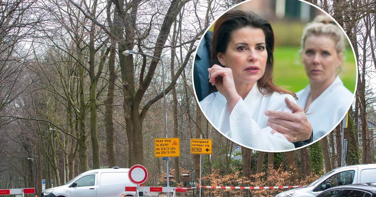 In deze bossen speelt de zinderende cliffhanger van GTST zich af in het grootste geheim gefilmd