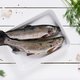 Forel in een schuitje