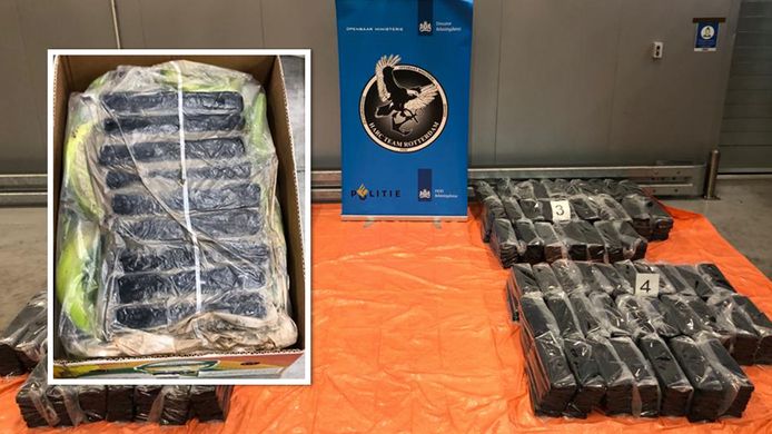 De cocaïne die vrijdag werd gevonden in een container vol bananen uit Ecuador.