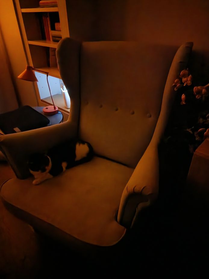 Een foto gemaakt met de hoofdcamera van de Samsung Galaxy S22 Ultra in een nagenoeg volledig donkere kamer