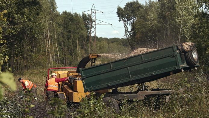 Depuis le mois d'août, cette histoire intrigante fait les choux gras de la presse mondiale. La cargaison de ce train bourré d'or a été estimée à 700 millions d'euros.