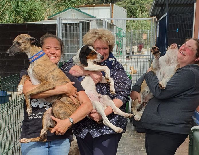 SHIN redde 26.000ste hond. Tanya Neyts, Fabienne Paques en Veerle Debeurme