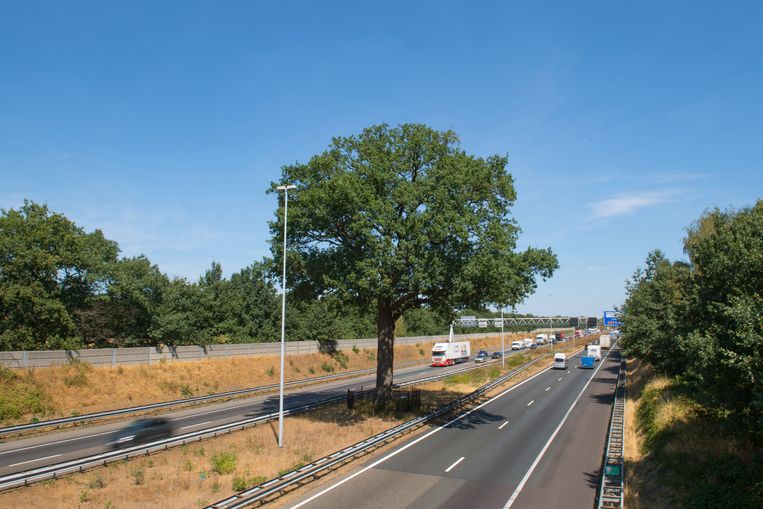 null Beeld foto Hans Menop / SBNL Natuurfonds