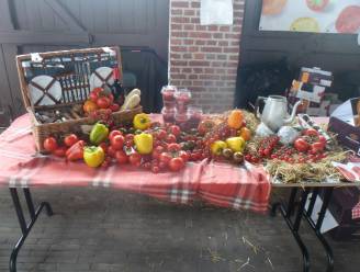 Ge(s)maakt in Merksplas op zaterdag 18 juni