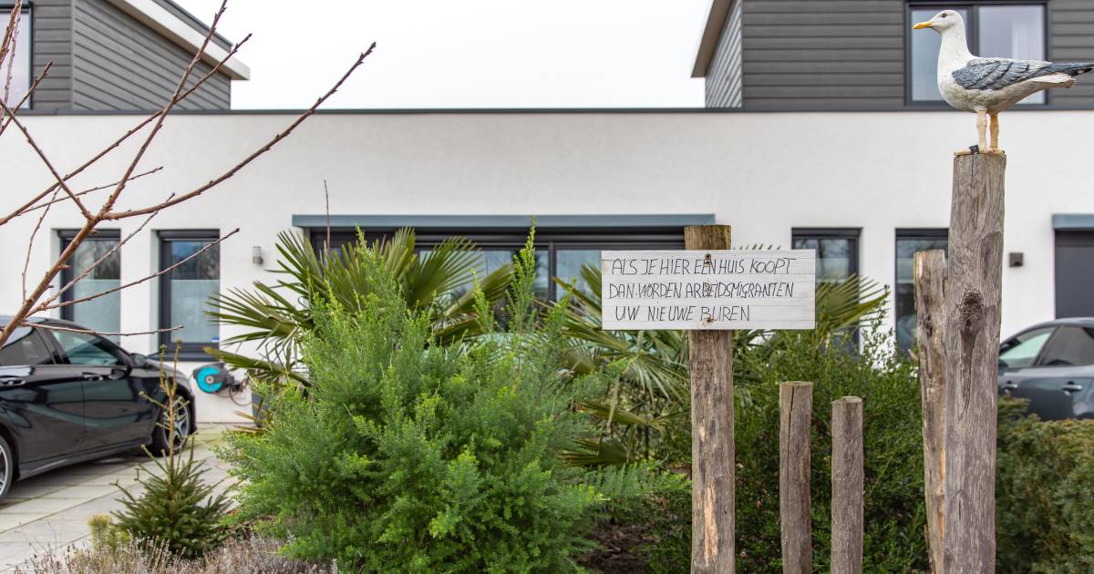 Buurt helemaal niet blij met komst arbeidsmigranten in Wissenkerke. ‘Er zijn al mensen die hun huis 