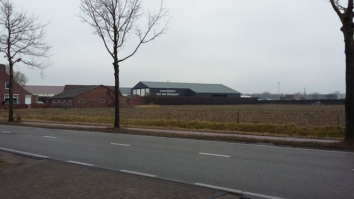 De Raad van State zette deze week de bouw van zogenaamde Polenhotels bij boerenbedrijven op de tocht. Deze uitspraak kan mogelijk met terugwerkende kracht gevolgen hebben voor aardbeienkweker Van den Wijngaart uit Ulvenhout (Strijbeekseweg), al verwacht de gemeente Breda niet dat dat zal gebeuren.