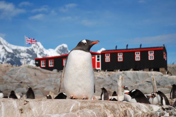 Penguin Post Office: Natural World