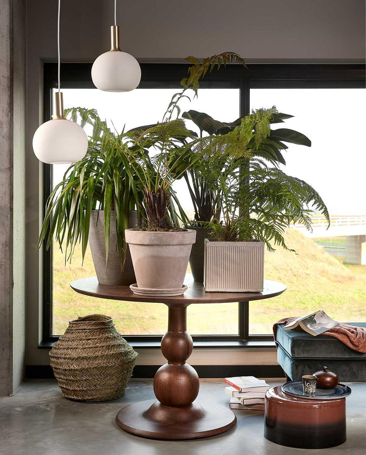 Gek op planten? Zet er lekker je huis mee vol. Styling Fietje Bruijn.