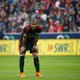 Van der Vaart niet op training door lichte blessure