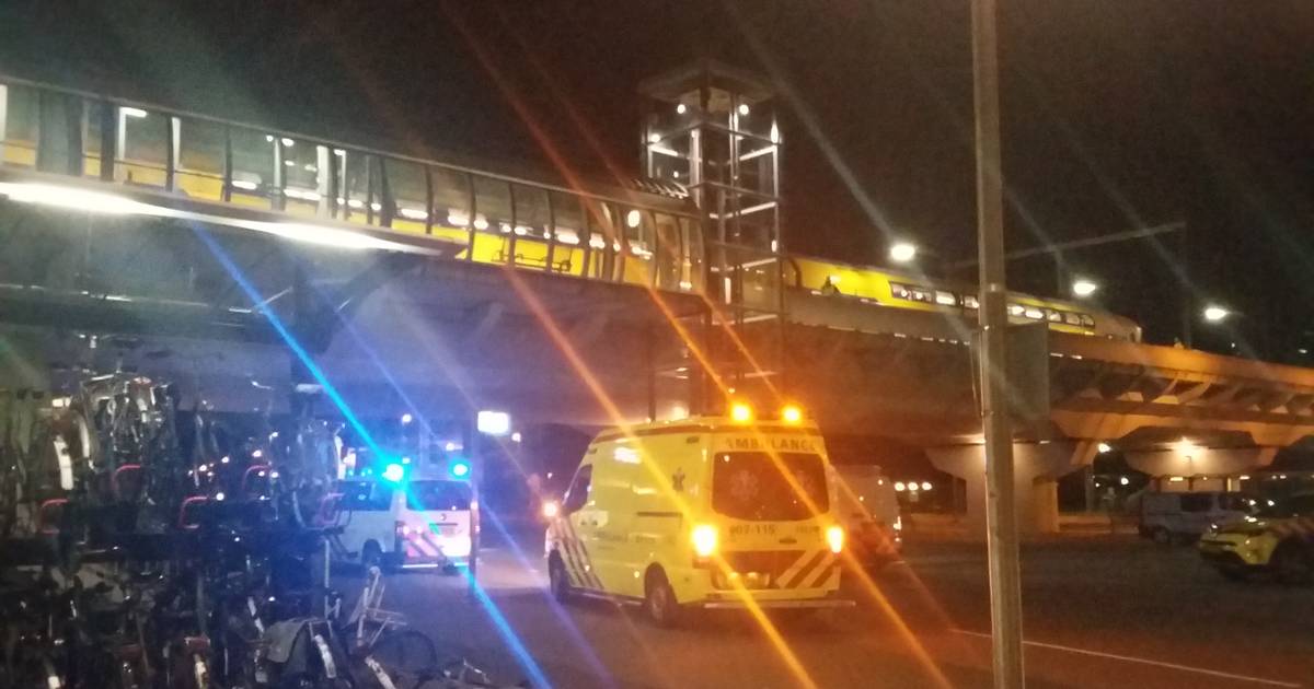 Uren geen treinen Arnhem Nijmegen door aanrijding op spoor Vierdaagse gelderlander.nl