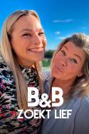 Boxcover van B&B zoekt Lief