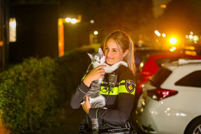 Bij een brand in een wooncomplex aan de Mauvestraat in Apeldoorn zijn vannacht zeker vijf appartementen ontruimd. Een vrouw die vast kwam te zitten op haar balkon werd door de brandweer bevrijd. Ook werden vier hamsters en twee katten gered.