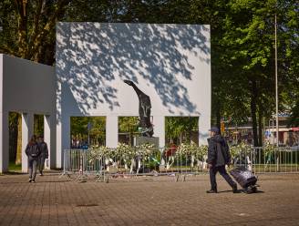 Ongeloof bij buurtbewoners Rotterdam-Charlois na vernieling bloemenkransen: ‘Compleet van de zotte’